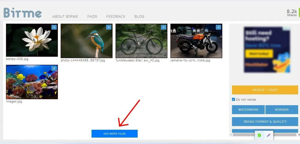 BIRME online photo editor interface