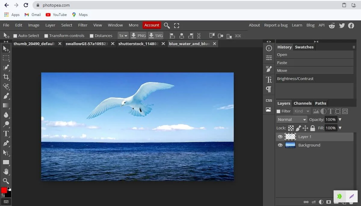 Editing an image in Photopea