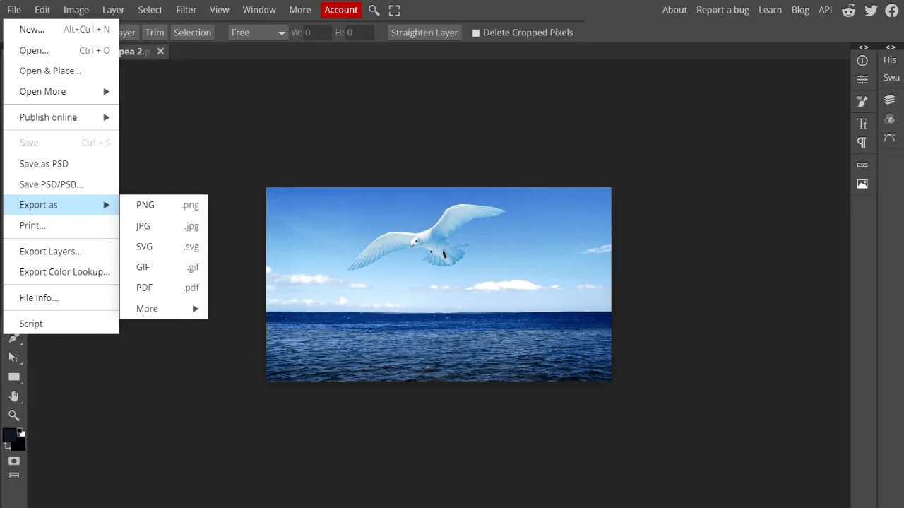 Exporting an image from Photopea after editing