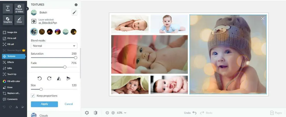PicMonkey online photo editor interface